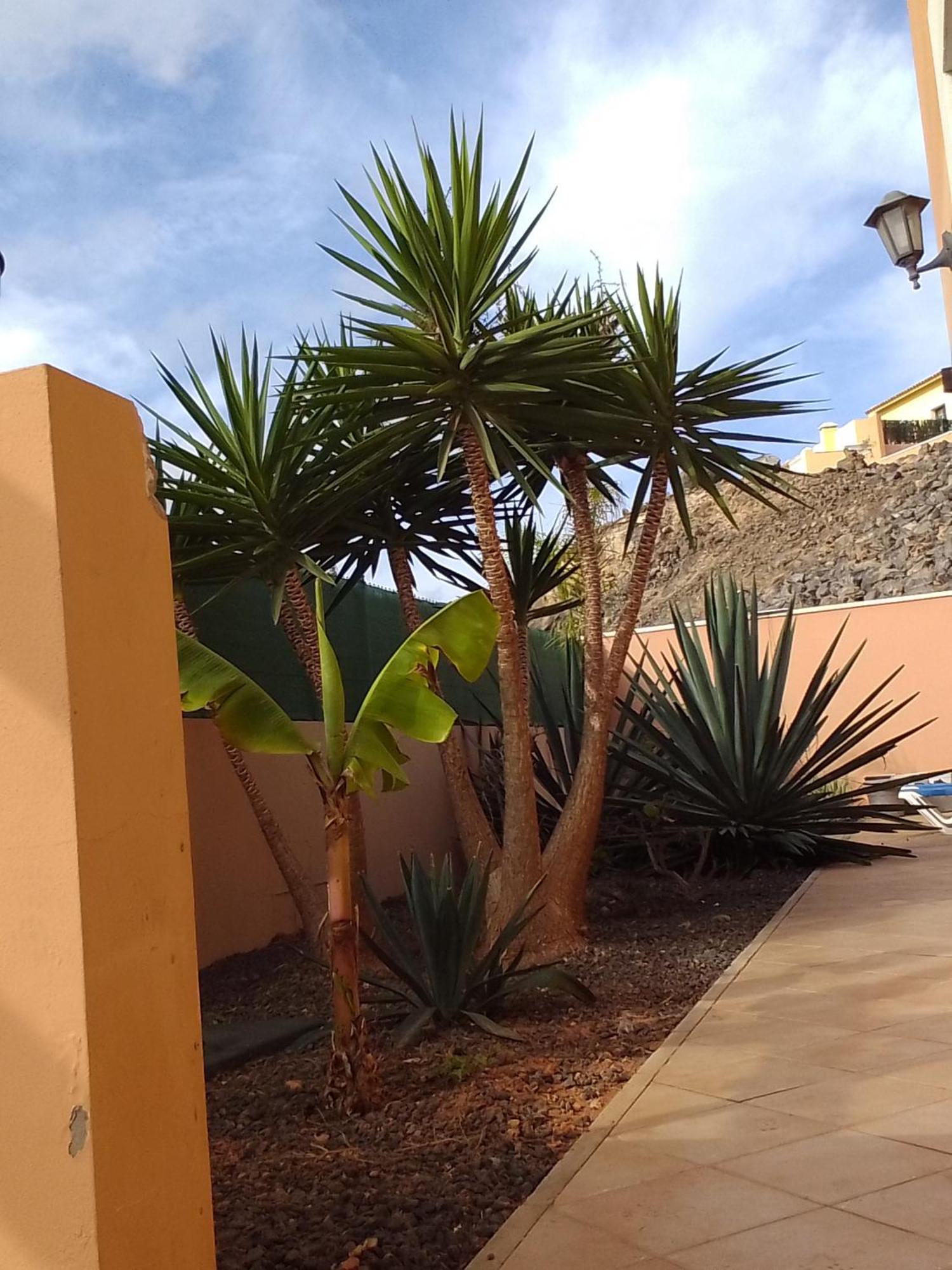 A Casa Di Ilaria Hostel Corralejo Exterior photo